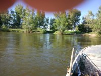 IMG_20170627_165136.jpeg