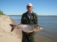 IMG_0570.jpg