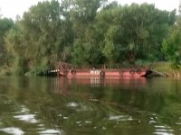 IMG_20170725_044225.jpg
