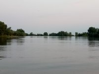 IMG_20170725_044105.jpg