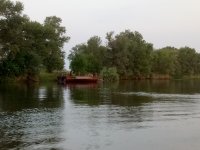 IMG_20170725_044100.jpg