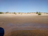 IMG_20170803_154149.jpg