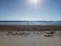 IMG_20170803_155527.jpg