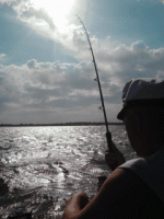 GIFMob_20170809_091643_850.gif