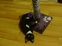 DSC02508.JPG