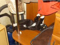 DSC02666.JPG