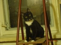 DSC03035.JPG