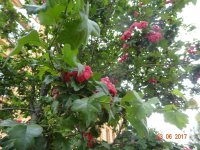 DSC04171.JPG