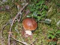 DSC00876.JPG