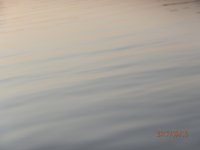 P9100623.JPG