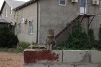 DSC_0766.JPG