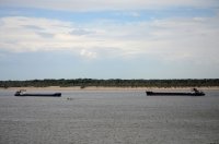 DSC_0200.JPG