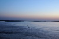 DSC_0382.JPG