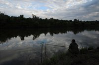 DSC_0774.JPG