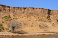 DSC_1025.JPG