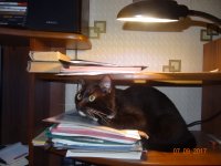 DSC05227.JPG