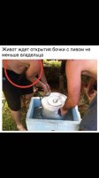 IMG-20170918-WA0003.jpg