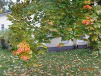 DSC05469.JPG