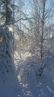 20171102_151416.jpg