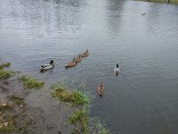 IMG_20171105_150124.jpg
