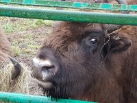 20171111_102957.jpg
