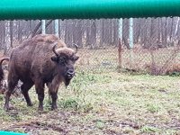 20171111_103647.jpg