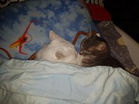 20171105_201121.jpg