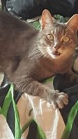 IMG-20171108-WA0048.jpg