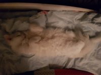 20171111_172901.jpg