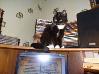 DSC05483.JPG
