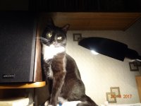 DSC05517.JPG
