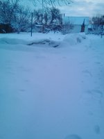 Lenovo_A1000_IMG_20171127_083432.jpg
