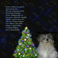 Без имени-1.jpg