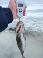 IMG_20180104_100511.jpeg