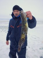 IMG_20180105_111559.jpeg