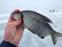 IMG_20180105_113622.jpeg