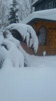 20180210_155655.jpg