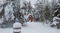 20180211_141636.jpg