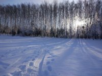 IMG_20180309_083847.jpg