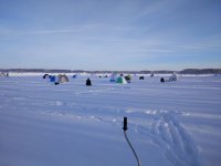 IMG_20180309_083856.jpg