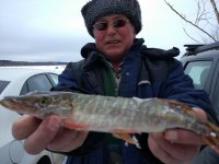 IMG_20180309_175213.jpg