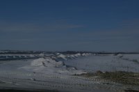 IMGP3914.JPG