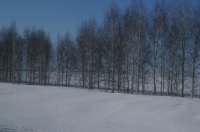 IMGP3915.JPG