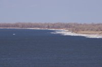 IMGP3918.JPG