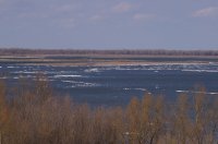 IMGP3920.JPG