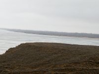 1521968447685-1220655417.jpg