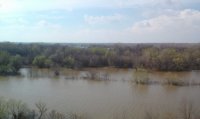 Lenovo_A1000_IMG_20180422_161824.jpg