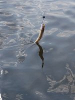IMG_20180417_143132.jpg