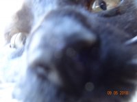 DSC06334.JPG