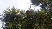 20180610_201142.jpg